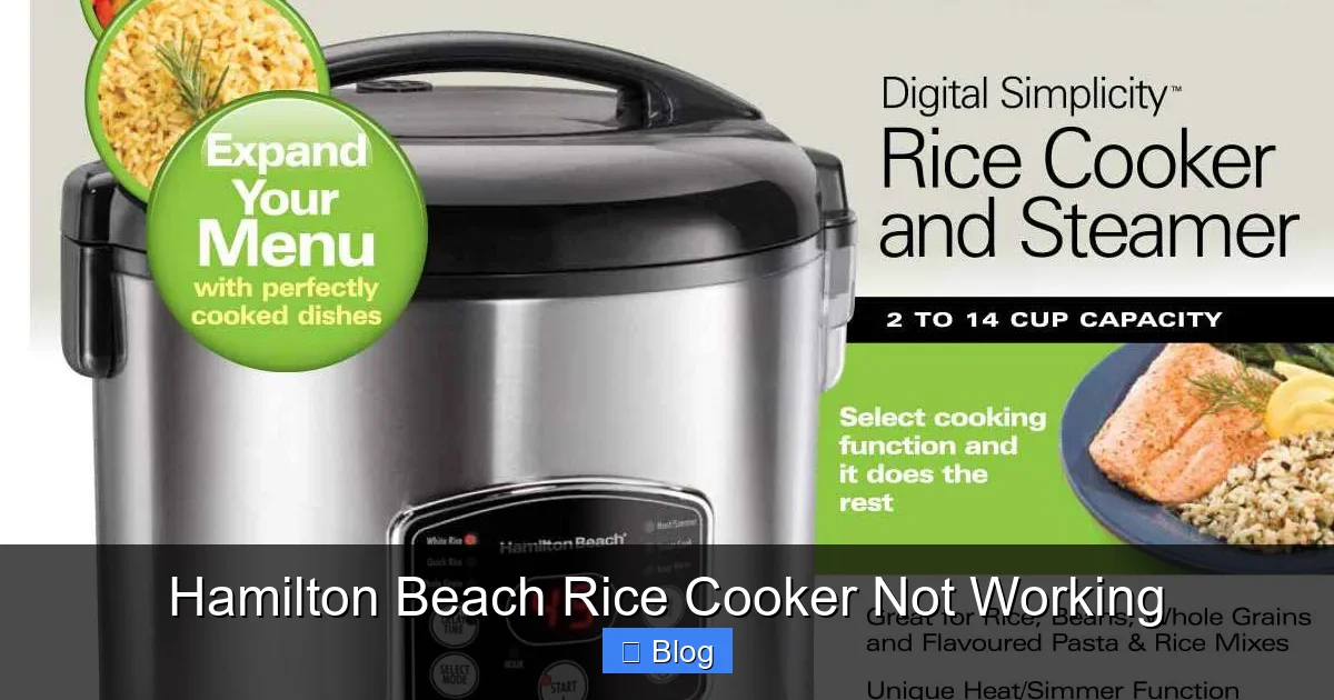 Hamilton Beach Rice Cooker Not Working